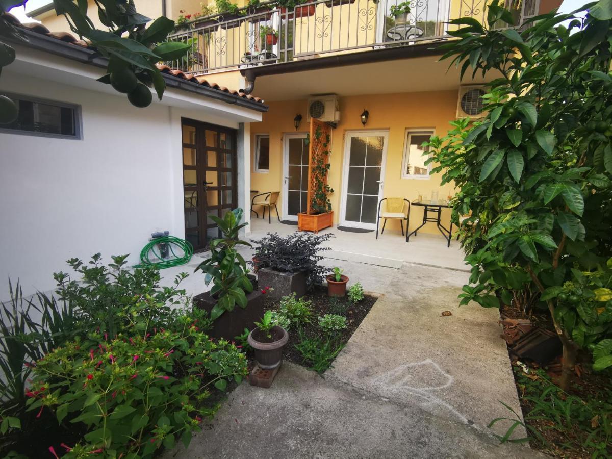 Radovic Apartments Budva Bagian luar foto